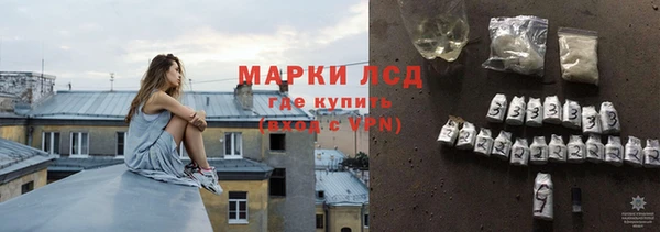 крисы Баксан