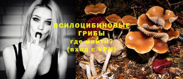 ПСИЛОЦИБИНОВЫЕ ГРИБЫ Балахна