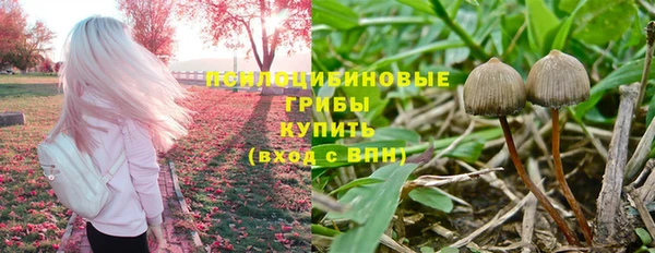 ПСИЛОЦИБИНОВЫЕ ГРИБЫ Балахна
