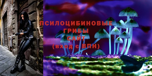 ПСИЛОЦИБИНОВЫЕ ГРИБЫ Балахна