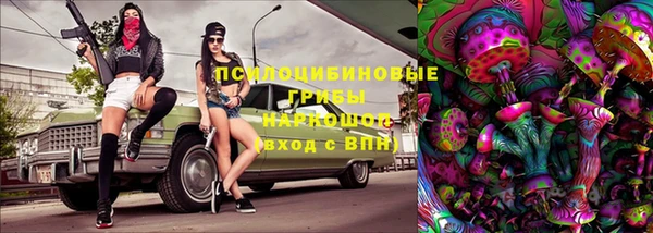 ПСИЛОЦИБИНОВЫЕ ГРИБЫ Балахна