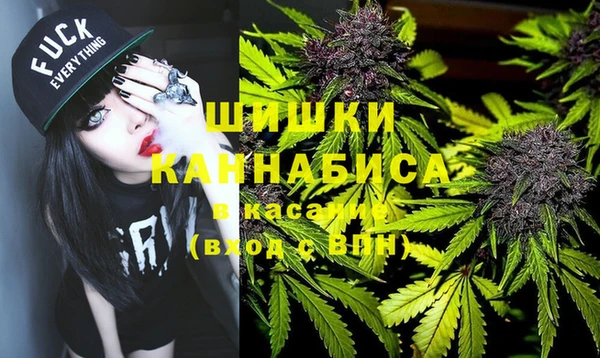 крисы Баксан