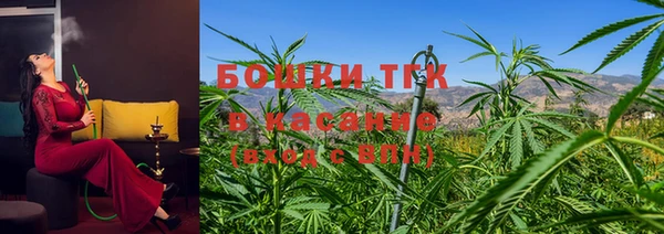 ПСИЛОЦИБИНОВЫЕ ГРИБЫ Балахна