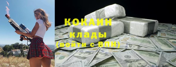 крисы Баксан