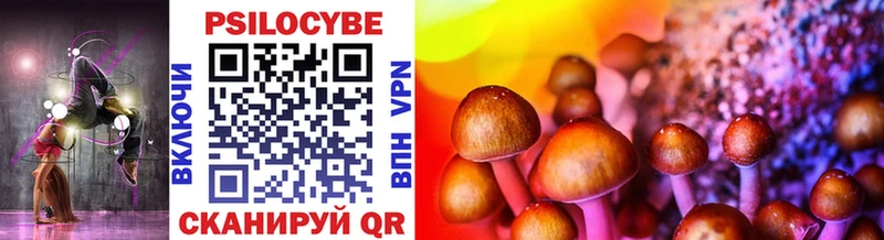 omg как войти  Бокситогорск  Псилоцибиновые грибы Psilocybine cubensis 